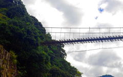 見上げれば吊り橋　IMGP2296zz