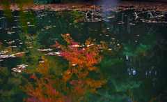 秋を映して　P1125085zz