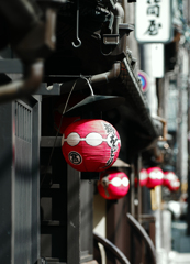 花街点描　IMG1958zz