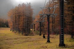 雪を待つゲレンデ　IMGP8812zz