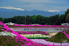 思い出の中の風景　IMGP5414zz