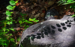 秋の日差し　P1440465zz