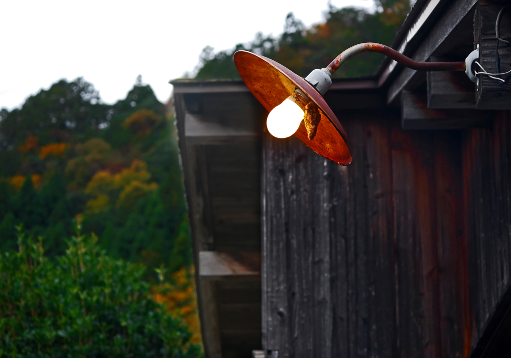 昼の街灯　P1290116zz