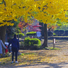 記念写真　IMG2225zz