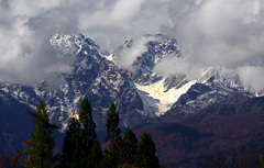 冬に向かって　IMGP5153z