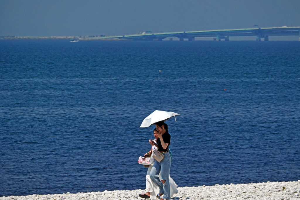 パラソルをさして　P1012281zz