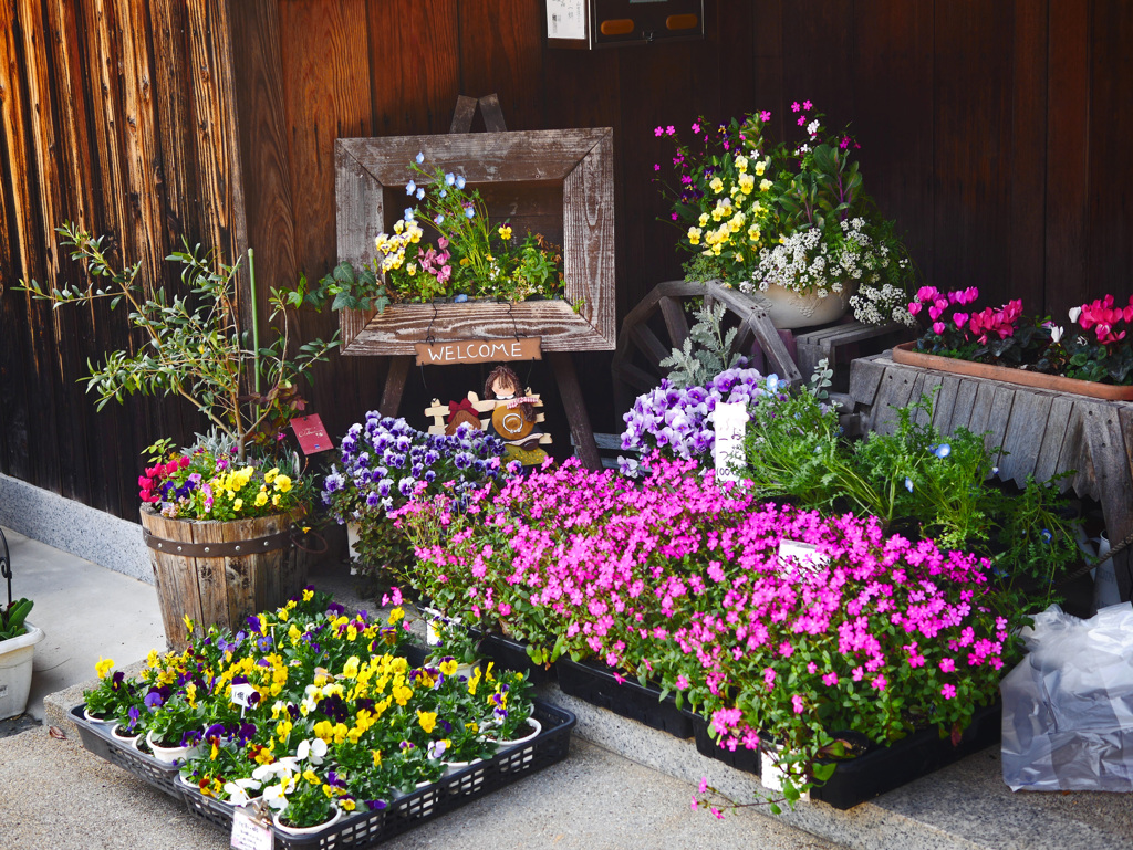 小さな小さなお花屋さん　P1120385zz