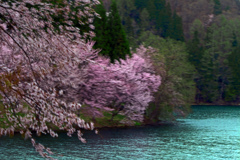 春の嵐　P1074638zz