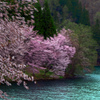 春の嵐　P1074638zz