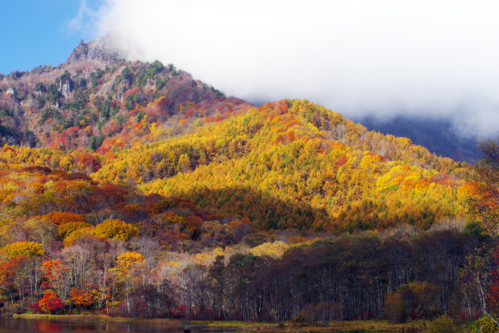 野山の錦　IMGP3375zz