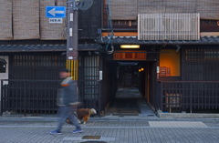 花街の朝　P1058745zz