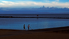 朝の散歩　P1630335zz