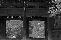「涼やかな日陰」　P1088692z