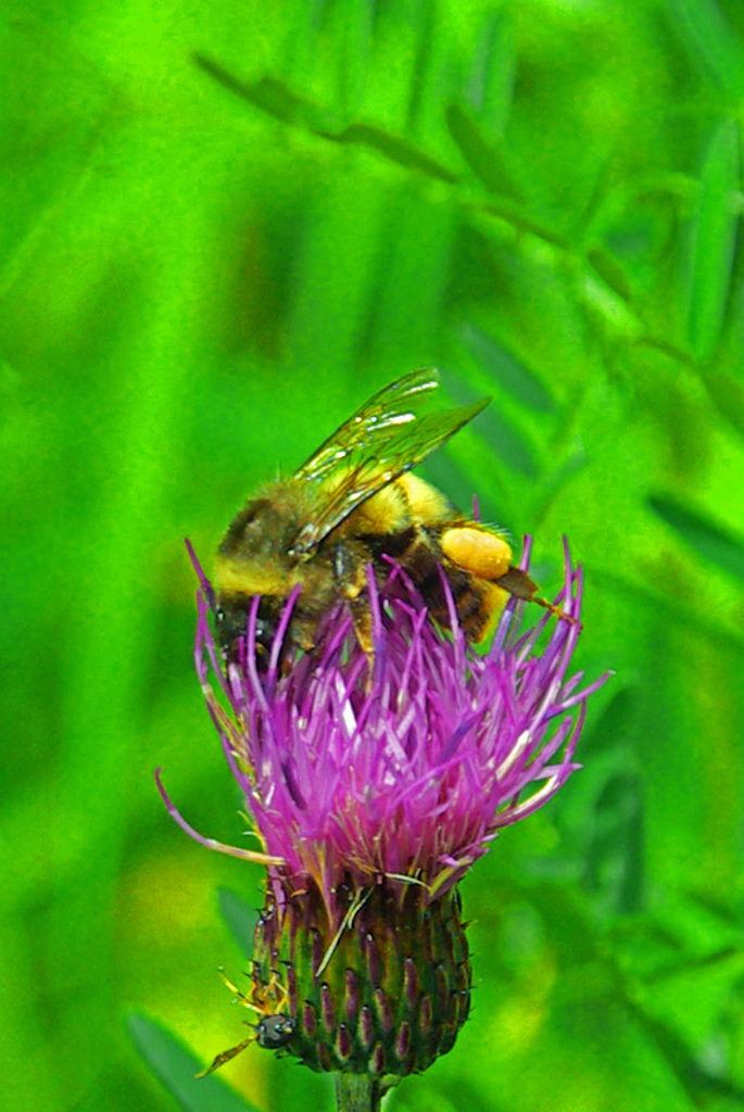 頭隠して・・・　IMGP1383zz