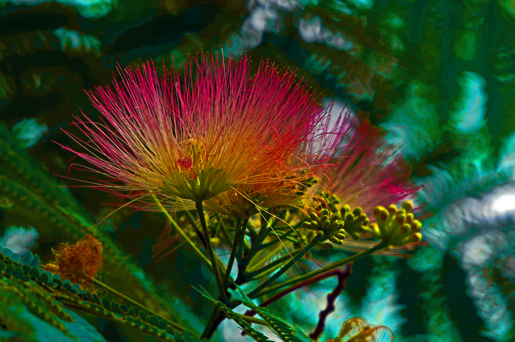 今や名残　P1570040zz