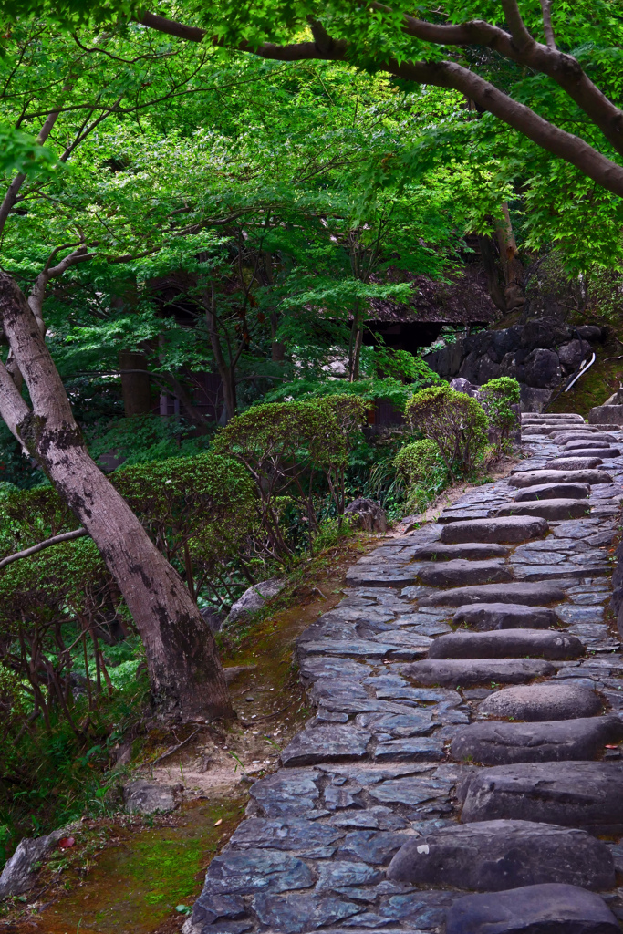 石組の道　P1230504zz
