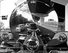 Self-portrait   　P1810235zz