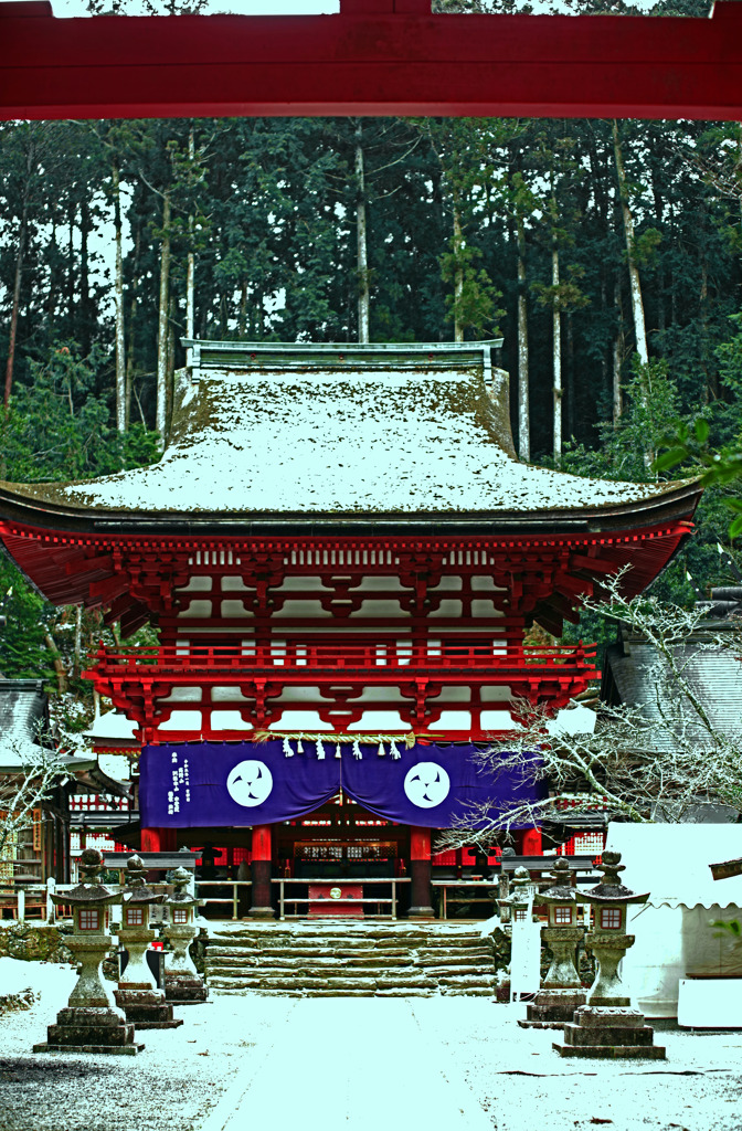 雪のお社　IMGP1563zz