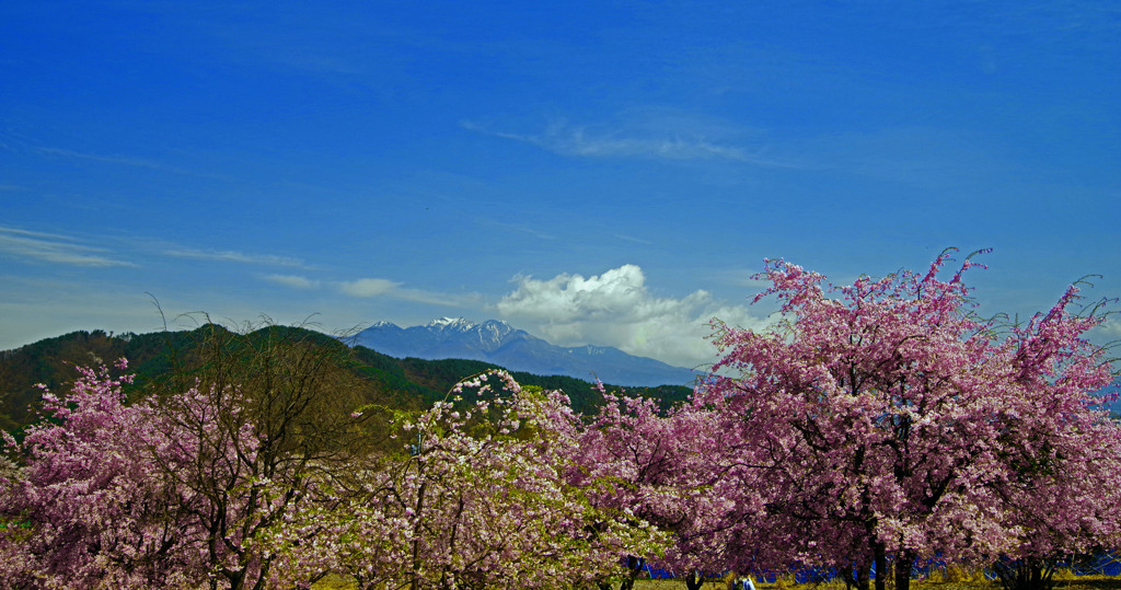 遠く見えるは八ヶ岳　IMGP0021zz
