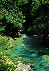 緑陰の瀬　IMGP0766zz