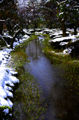 兼六園 残雪　_IGP9282zz