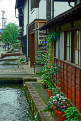 飛騨古川点描　IMGP1614zz