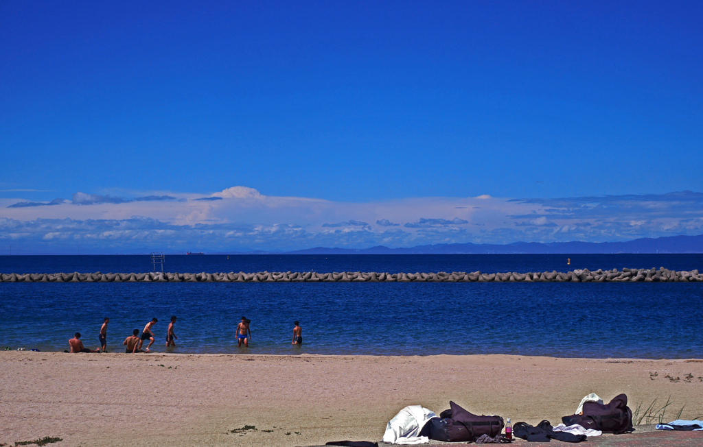 行く夏を惜しむ　P1240056zz