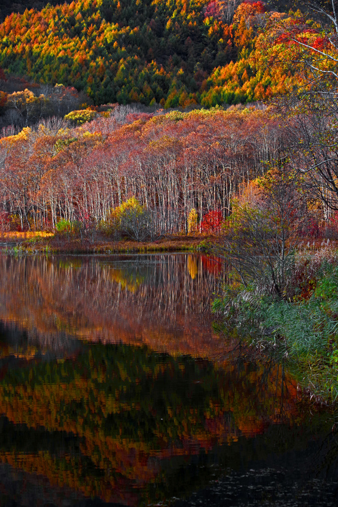 深秋の彩り　IMGP9611zz
