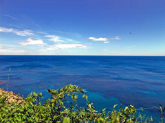 北陸 夏の海　DSC00647zz