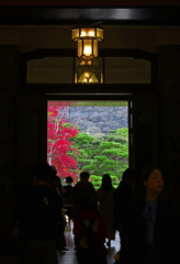 覗くⅡ　P1125968zz