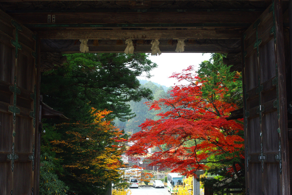 外の世界へ　IMGP0010zz