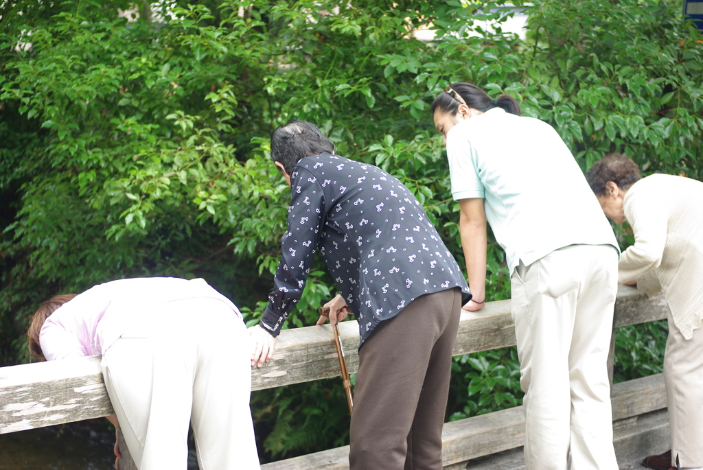 なにが見えるの？　IMGP2379