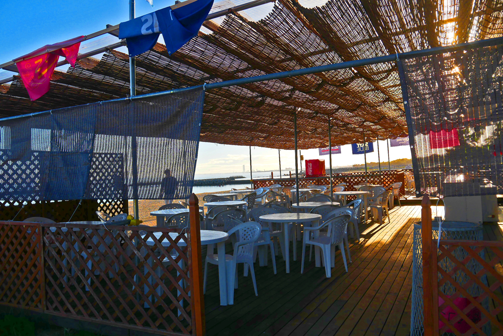 猛暑の予感　P1220331zz