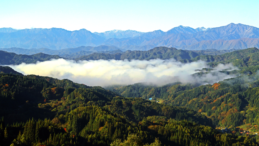 雲海が生まれる処P1114025zz