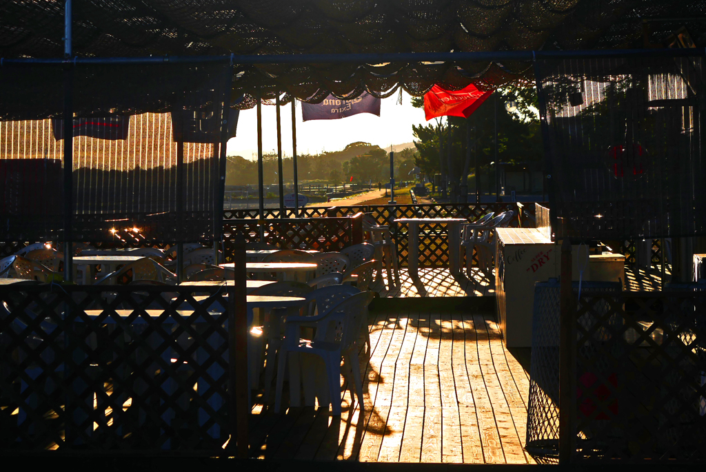 夏の残像　P1220265zz