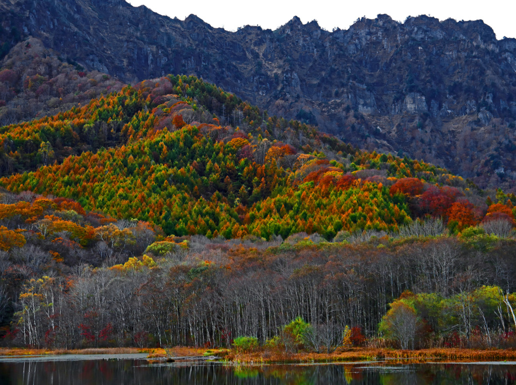 戸隠山の裾模様　P1770106zz
