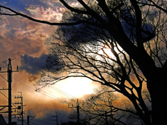 今日の一枚(2021年1月9日)　P1190409zz