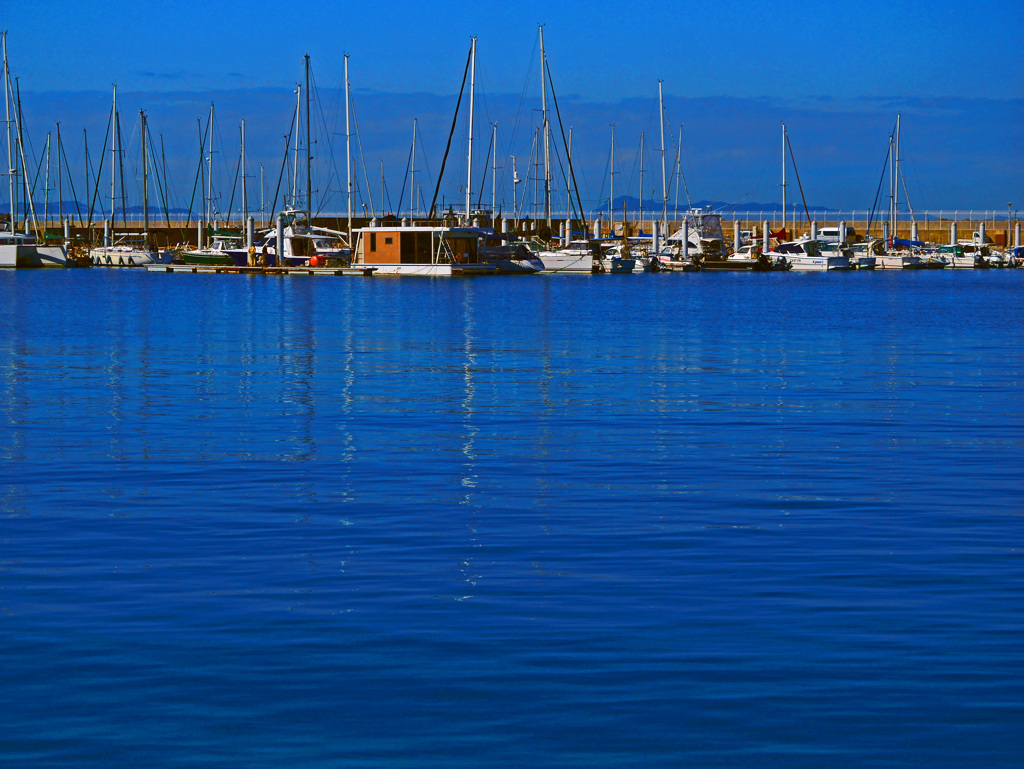 沈黙の朝　P1780207zz