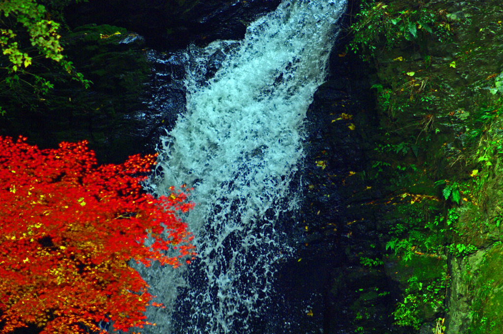 蒼い飛沫(しぶき)　IMGP0376zz