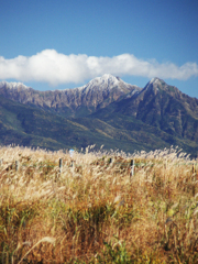 すすきの原と八ヶ岳