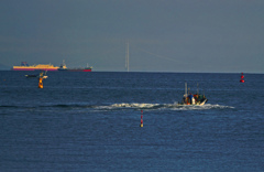 目覚める海　P1600252zz