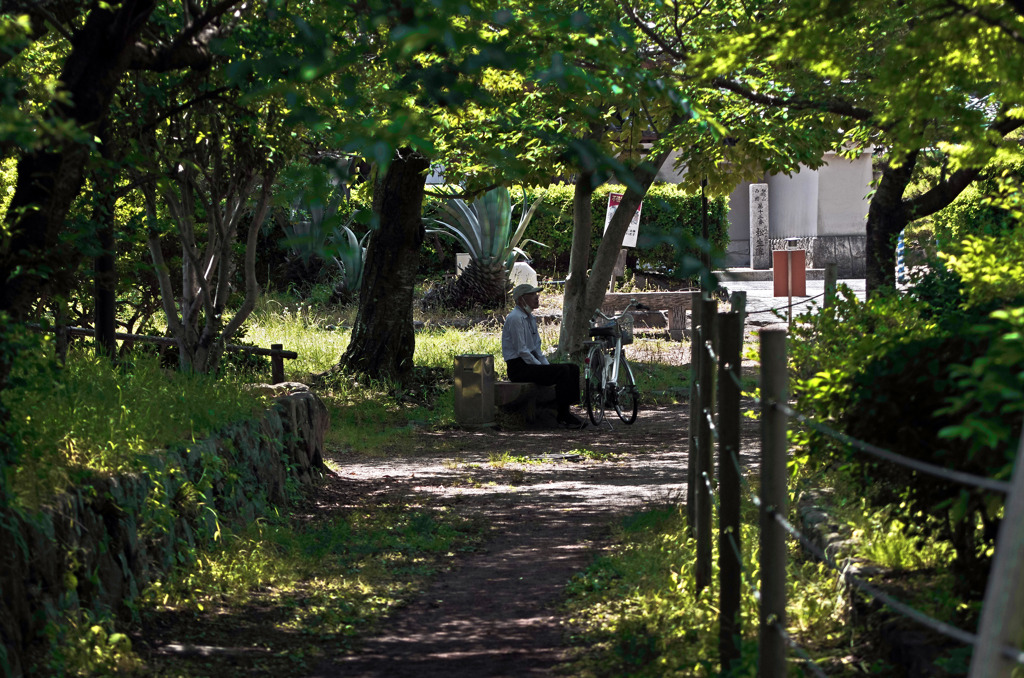 黄昏れる　IMG8945zz