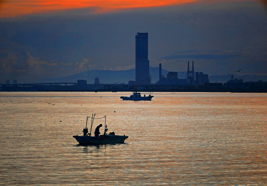 嵐の前の静けさ　P1670051zz