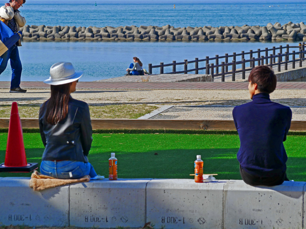 不思議な距離感　P1140624zz