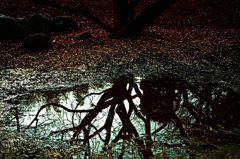 干上がった池　IMGP4381zz