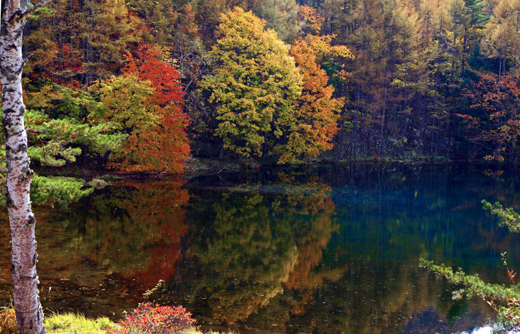 御射鹿池の秋　IMGP2925zz