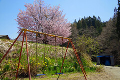 乗る人がいないブランコ　IMGP2469zz