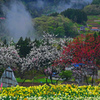 春雨降る村　P1380239zz