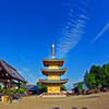 紫陽花の寺　IMGP6708zz