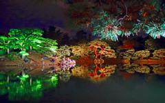 Illumination of Ritsurin　 IMGP8317zz